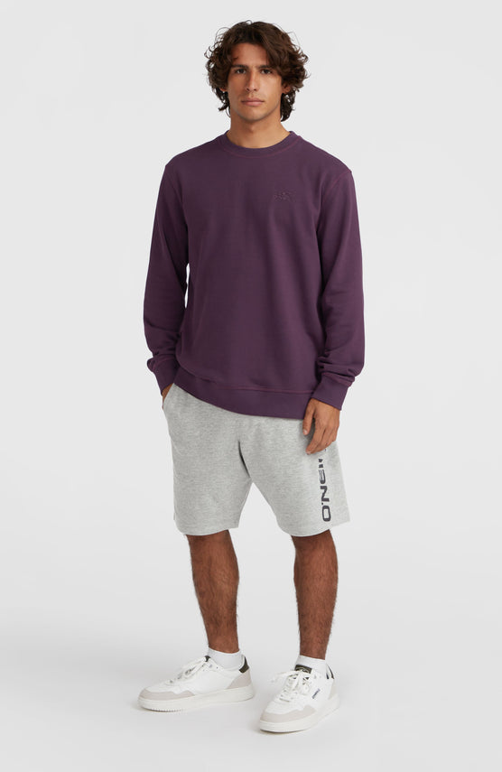 Sweatshort à logo O'Neill | Silver Melee -A