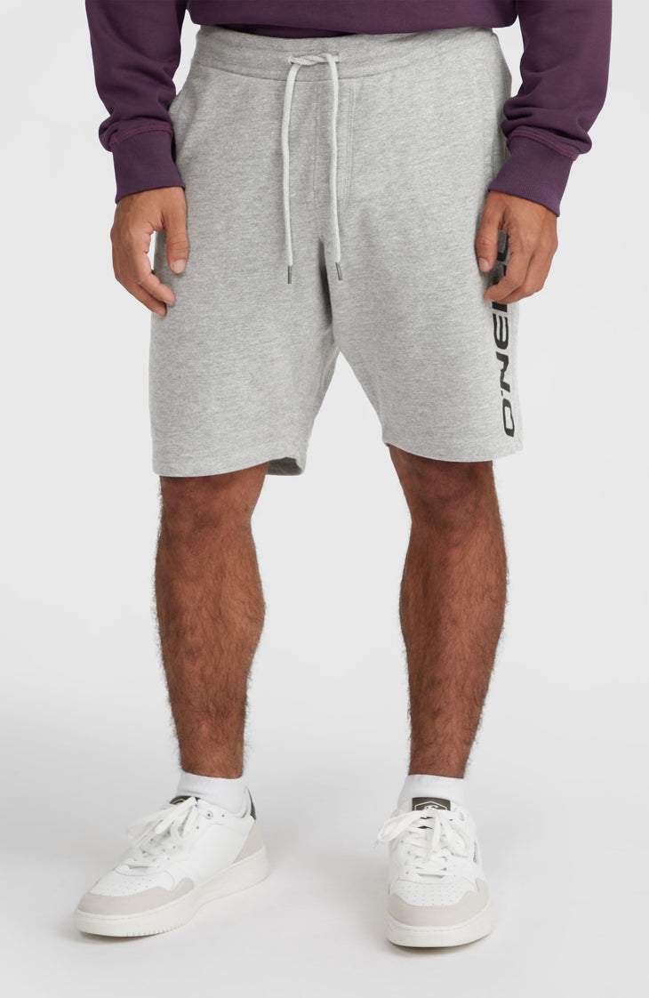 Sweatshort à logo O'Neill | Silver Melee -A