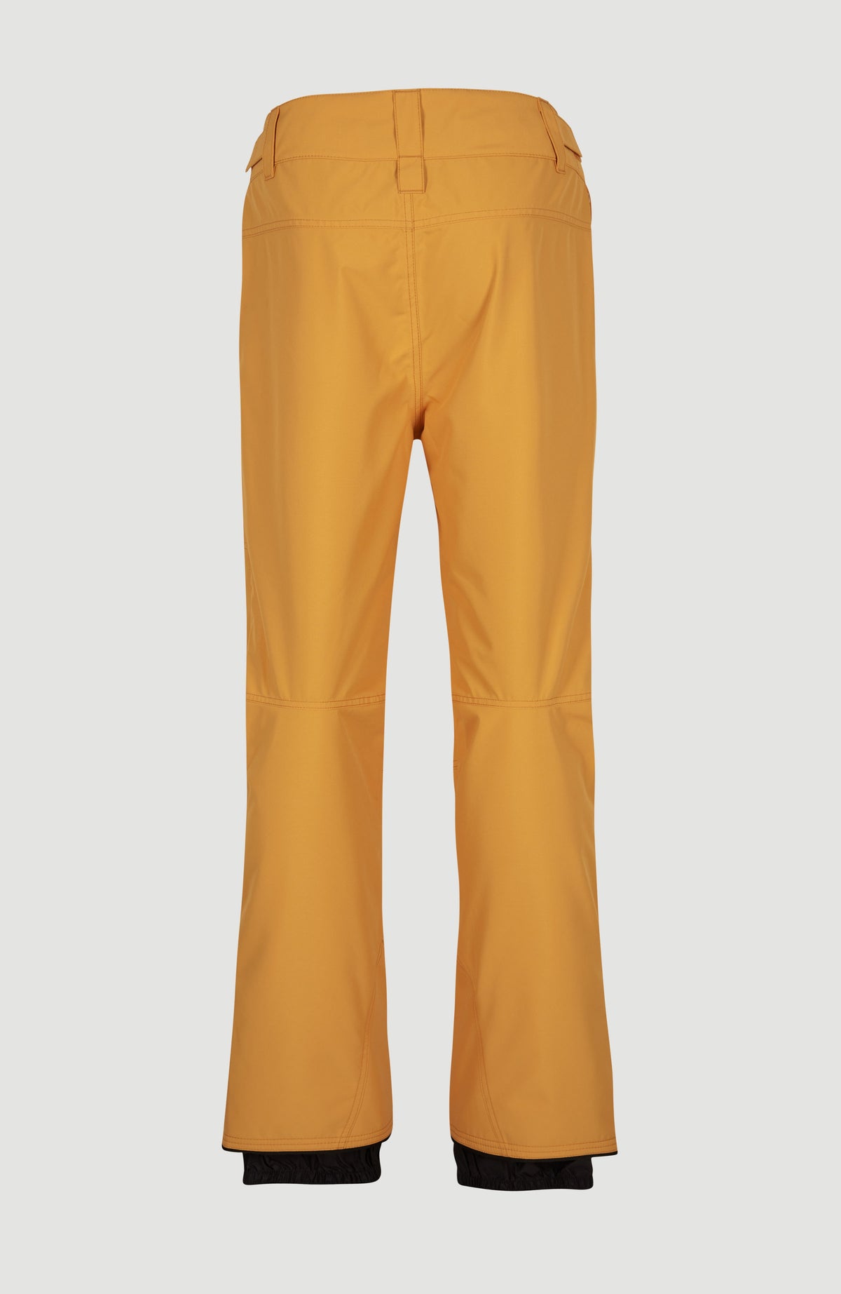 Pantalon de ski Hammer Regular | Nugget