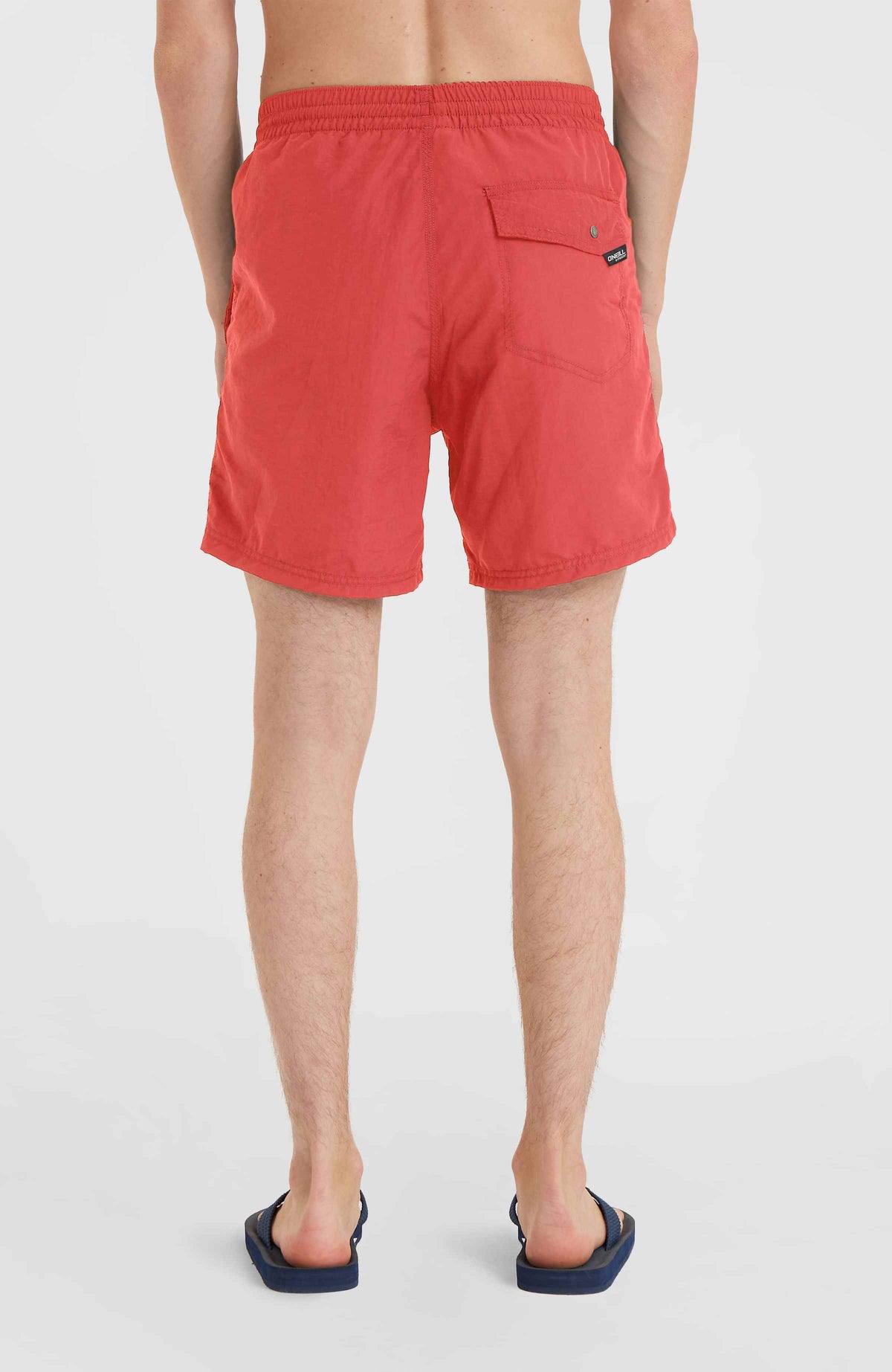 Short de bain Vert 16'' | High Risk Red