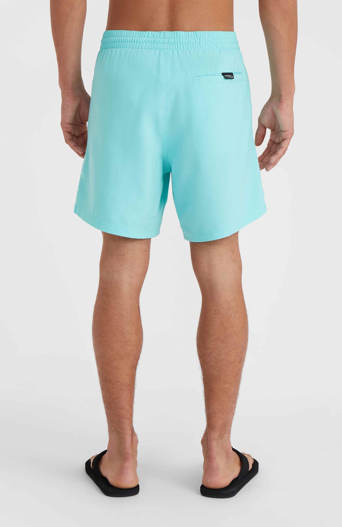 Short de bain Cali 16'' | Aqua Spalsh