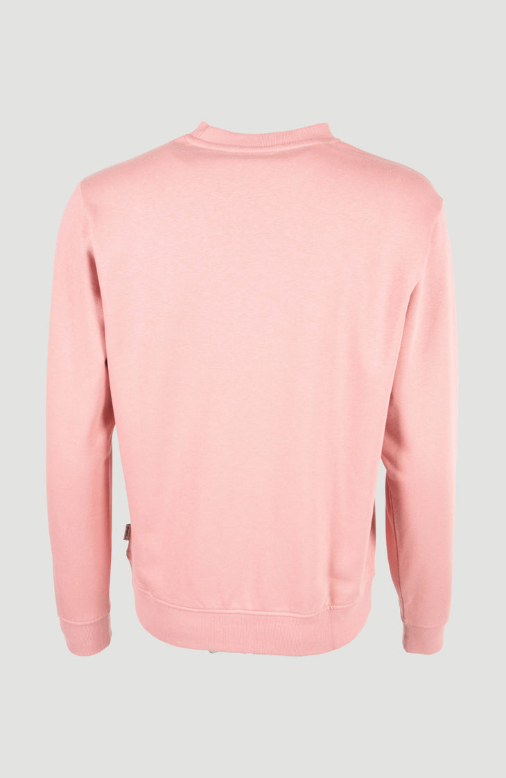 Sweatshirt à col rond Women of the Wave | Genuine Pink