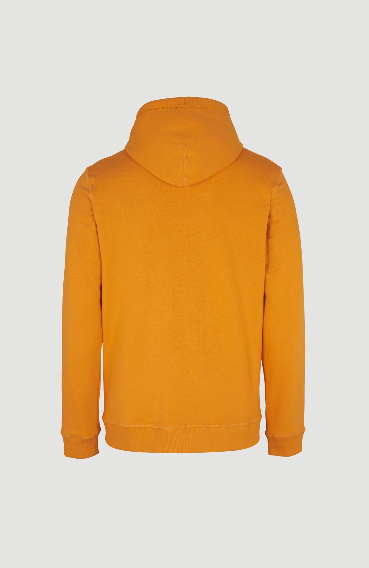 Sweat à capuche O'Neill Logo | Nugget