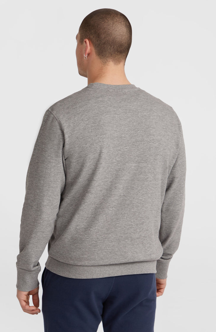 Sweatshirt à col rond O'Neill Logo | Silver Melee