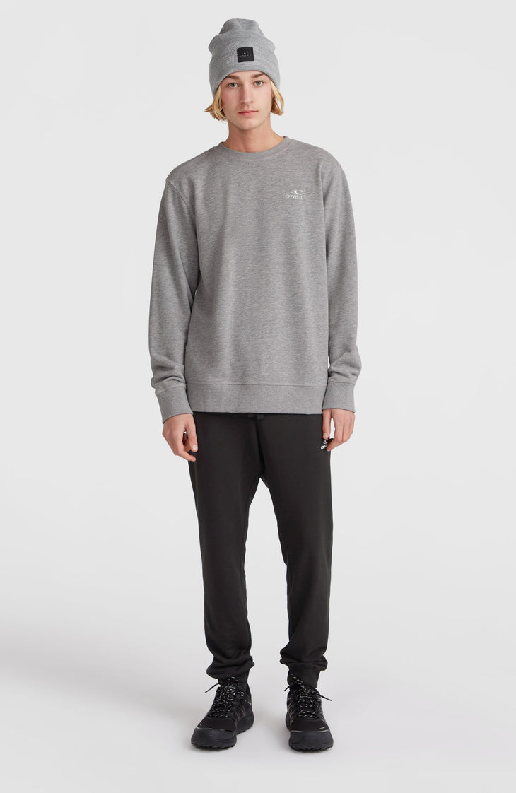 Sweatshirt O'Neill Small Logo Crew | Silver Melee