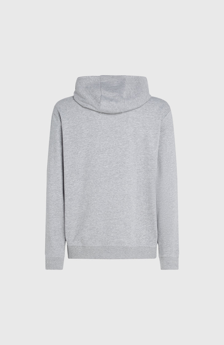 Sweat à capuche O'Neill Small Logo | Silver Melee