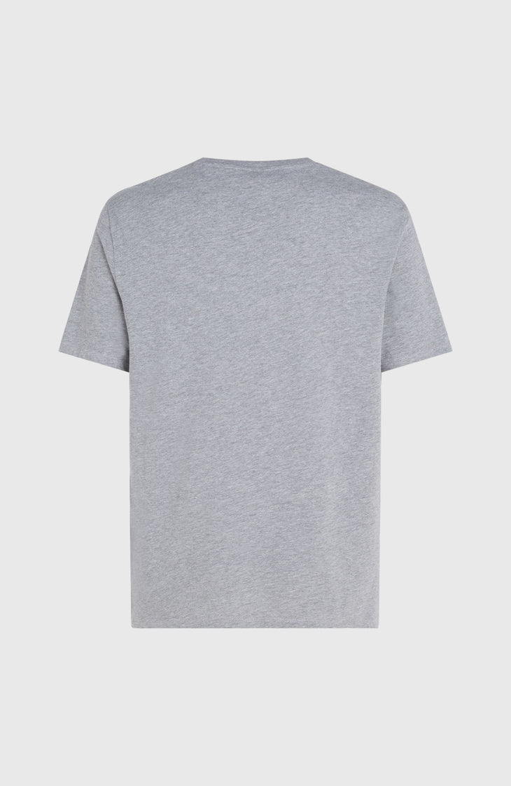 T-shirt O'Neill Logo | Silver Melee -A