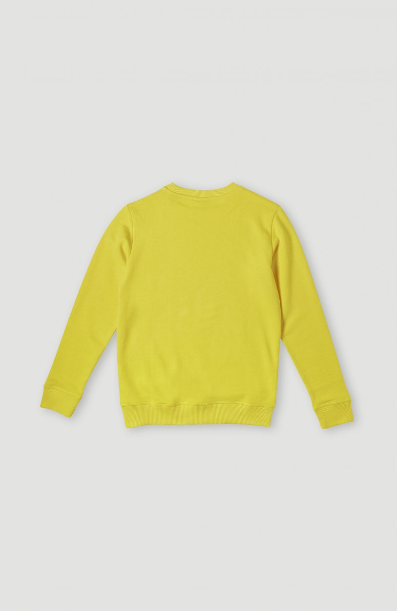 Sweatshirt à col rond O'Neill Logo | Empire Yellow