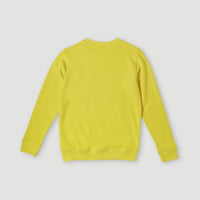 Sweatshirt à col rond O'Neill Logo | Empire Yellow