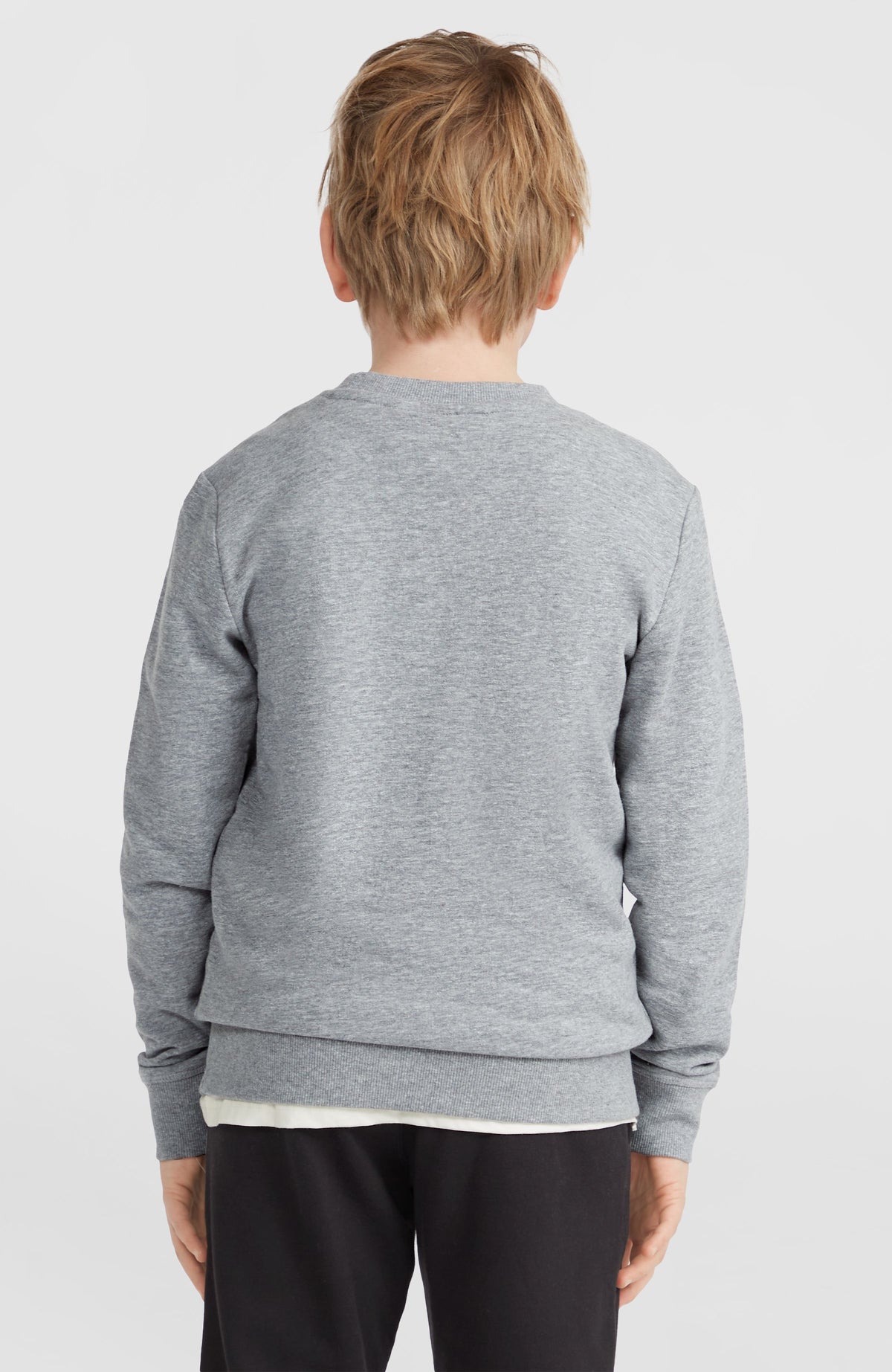 Sweatshirt à col rond O'Neill Logo | Silver Melee