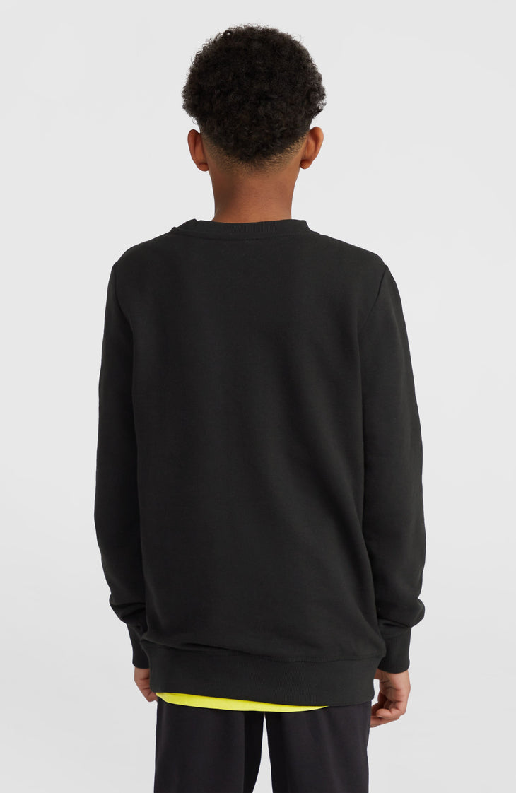 Sweatshirt à col rond O'Neill Logo | Black Out