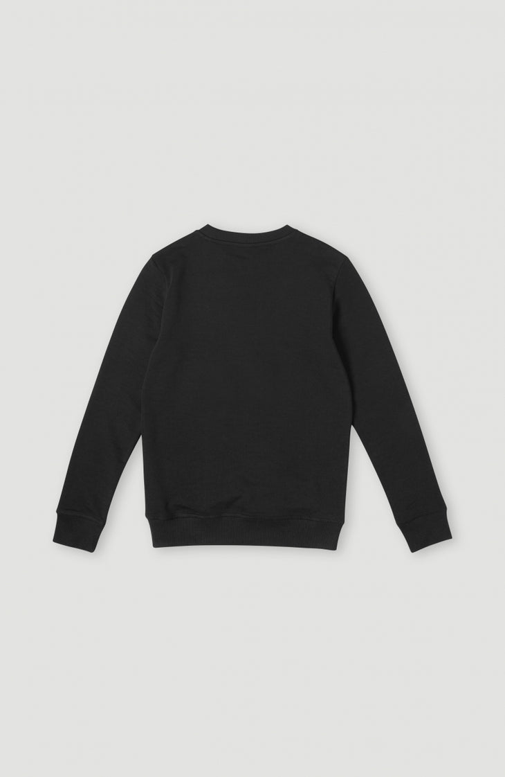 Sweatshirt à col rond O'Neill Logo | Black Out