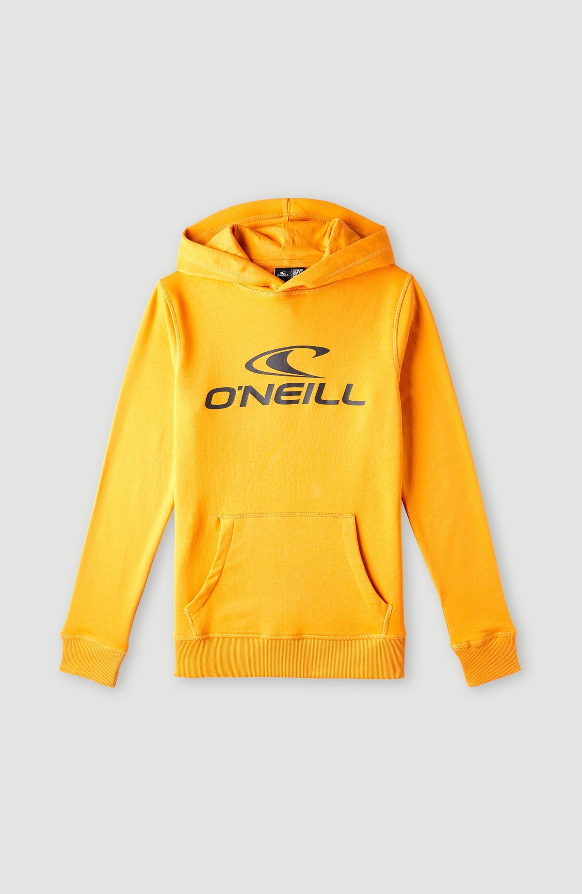 Sweat à capuche O'Neill Logo | Nugget