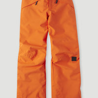 Pantalon de Ski Anvil | Puffin's Bill