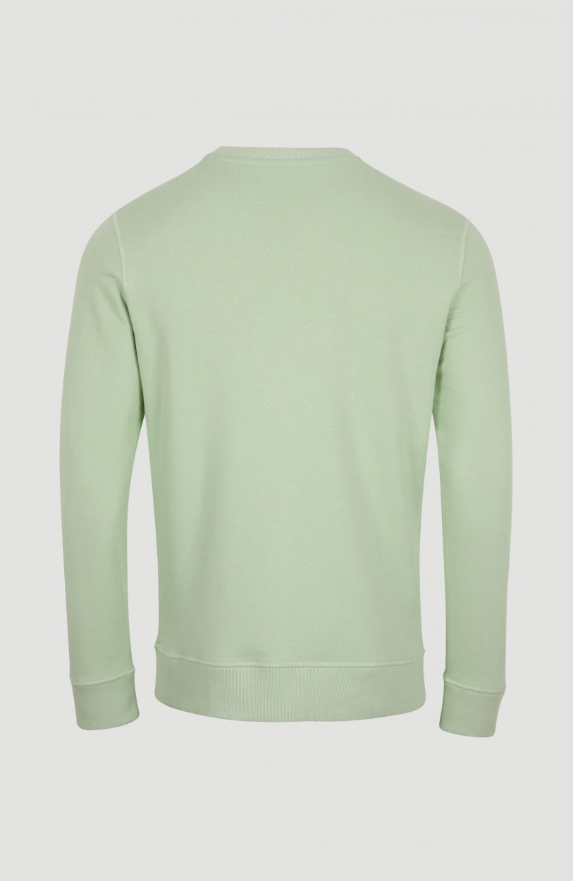 Triple Stack Crew Sweatshirt | Sea Foam