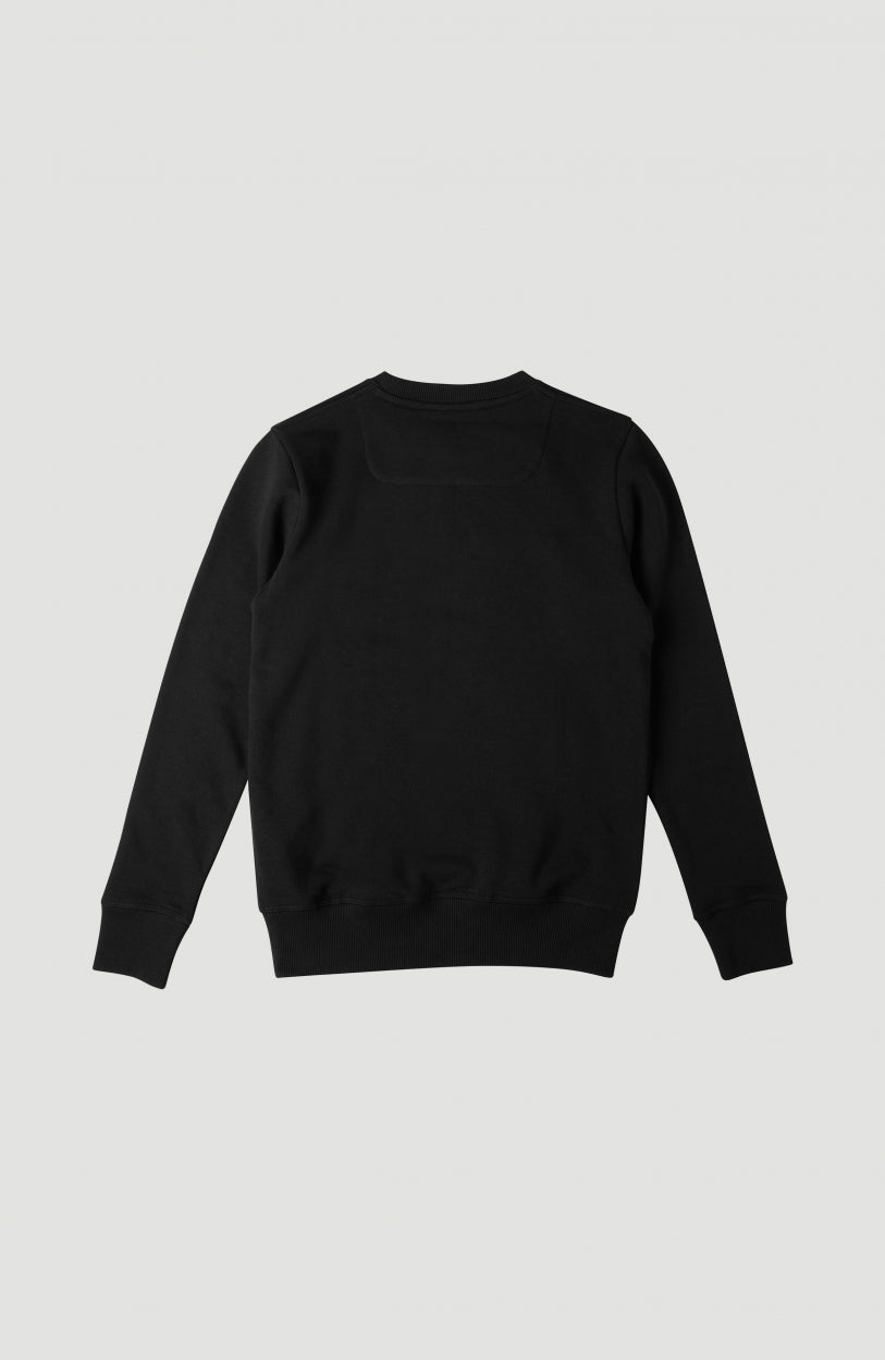 Sweat O'Neill Triple Stack Crew | BlackOut - A