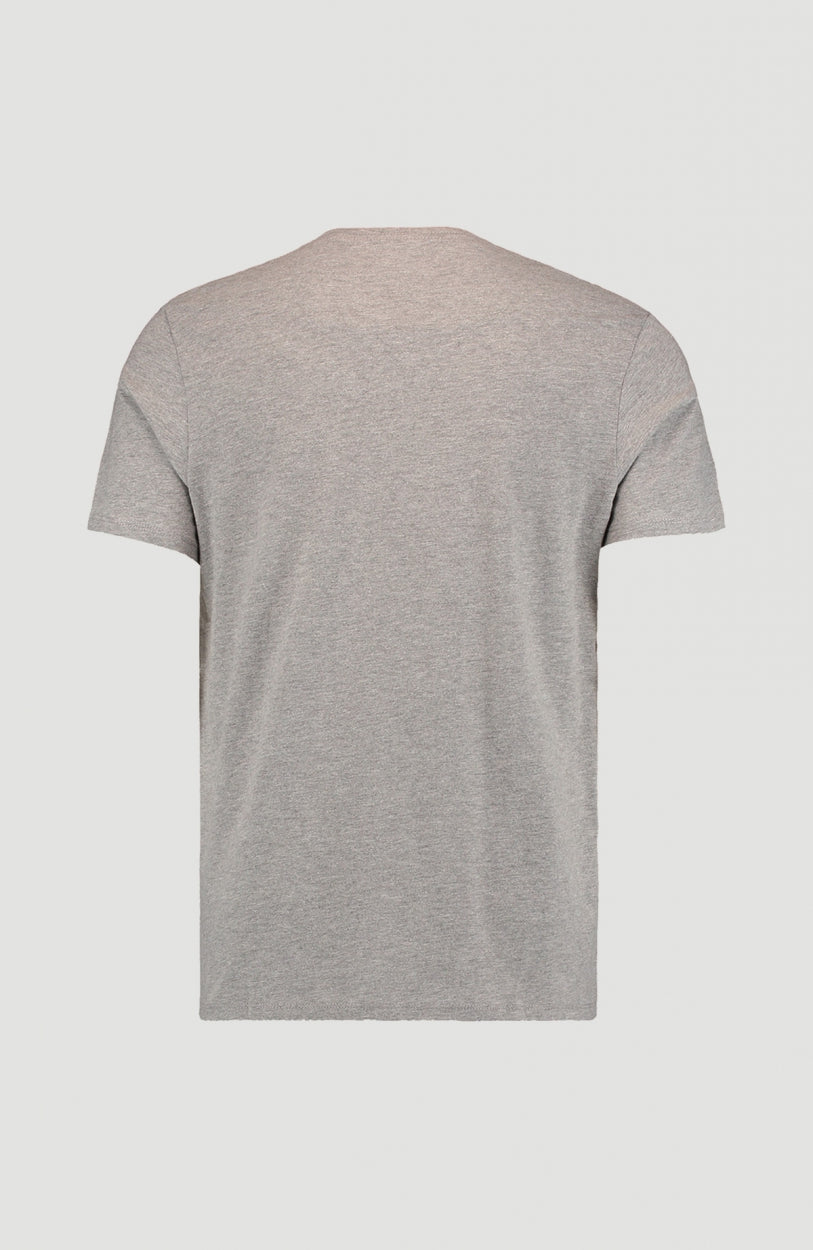 Tee-Shirt O'Neill Crew | Silver Melee -A