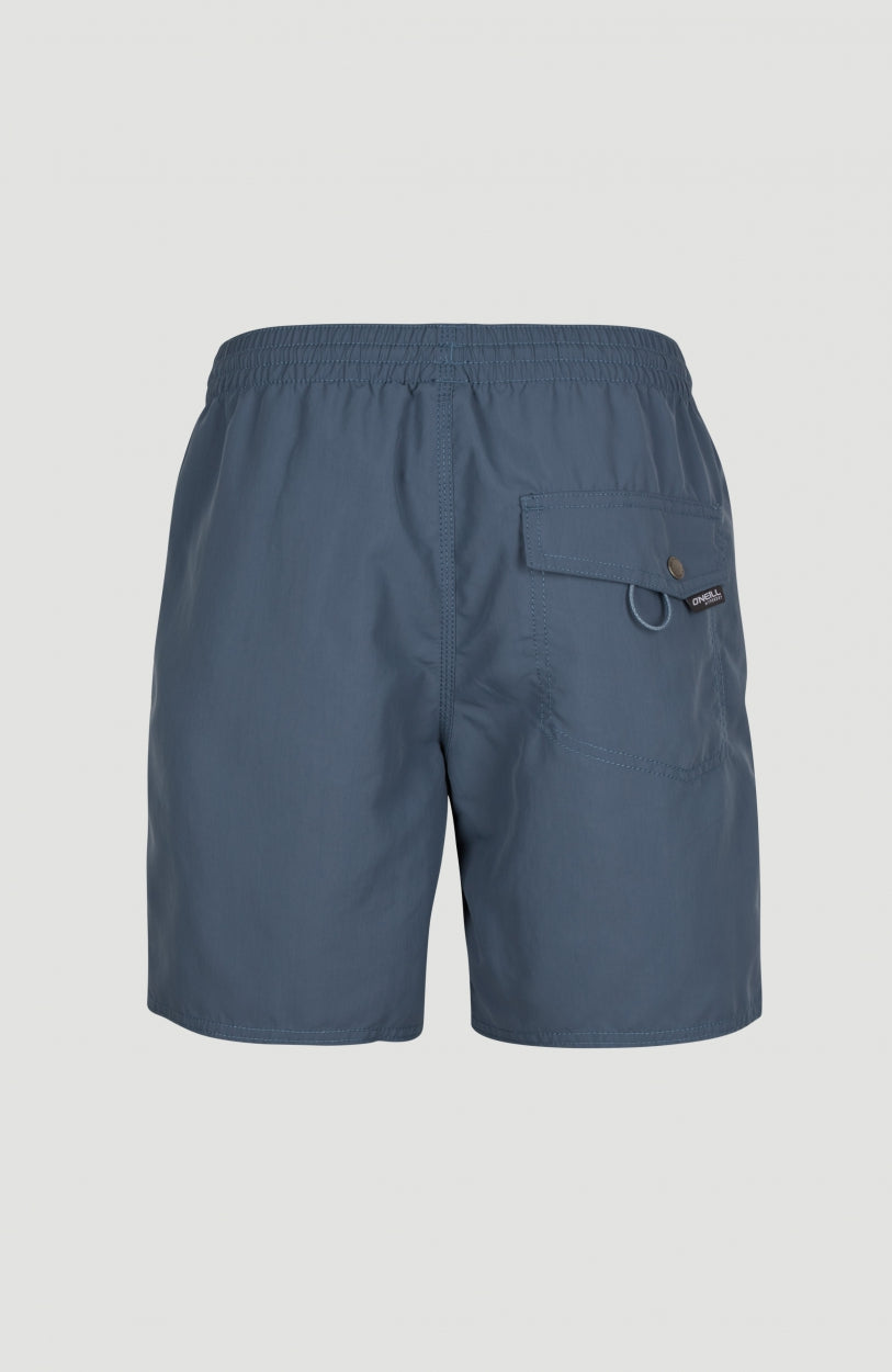 Short Vert Swim | Ensign Blue