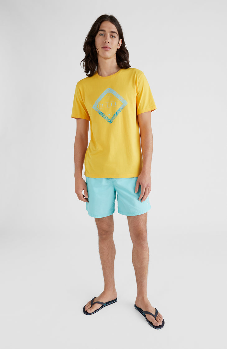 Short Vert Swim | Aqua Spalsh