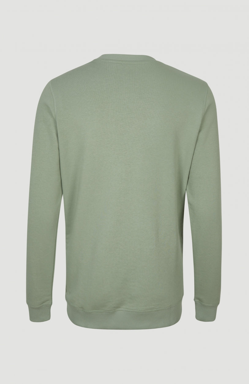 Circle Surfer Crew Sweatshirt | Lily Pad