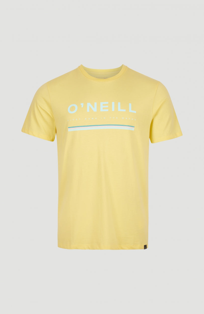 Tee-Shirt Arrowhead | Sundress
