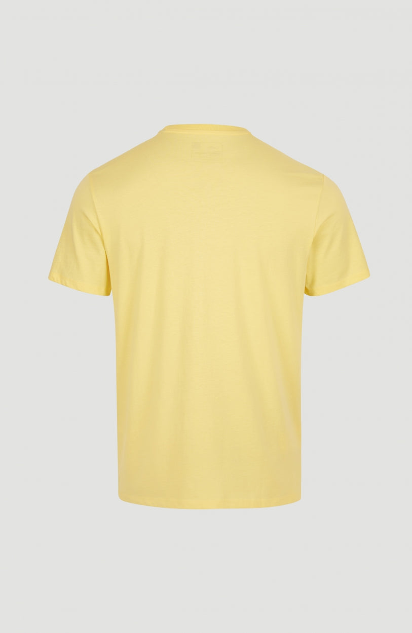 Tee-Shirt Arrowhead | Sundress