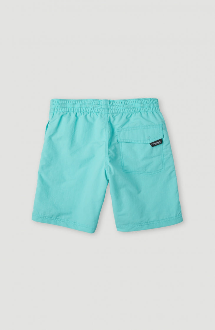 Short De Bain Vert | Aqua Spalsh