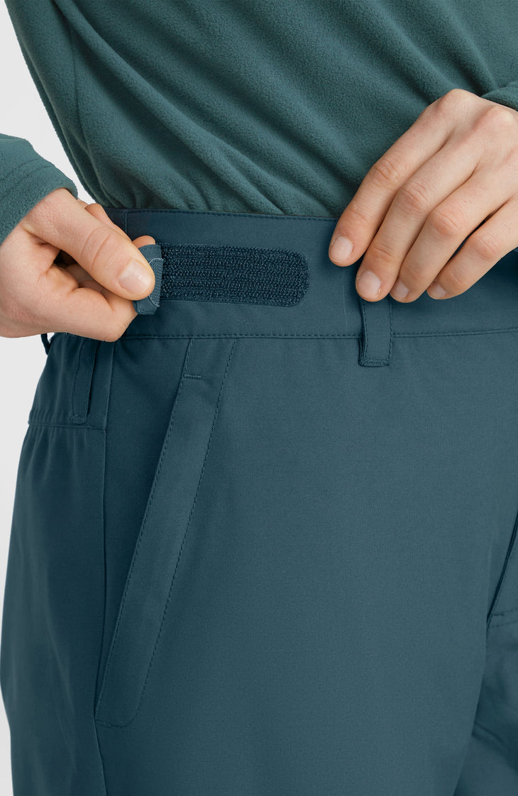 Pantalon de ski Aplite Regular | Alma Steel