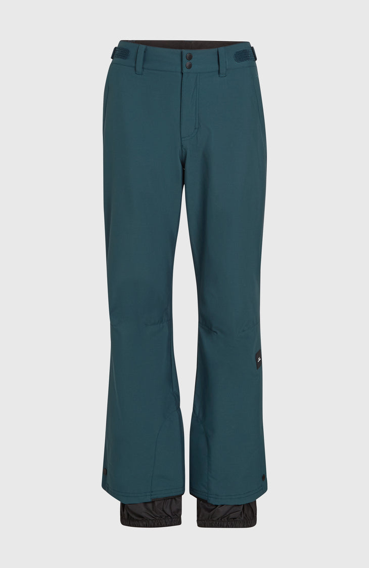 Pantalon de ski Aplite Regular | Alma Steel