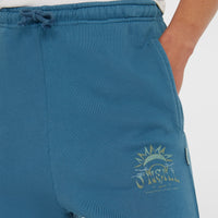 Pantalon de survêtement Beach Vintage | Copen Blue