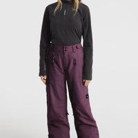 Pantalon de ski Utility Pro Loose | Aubergine