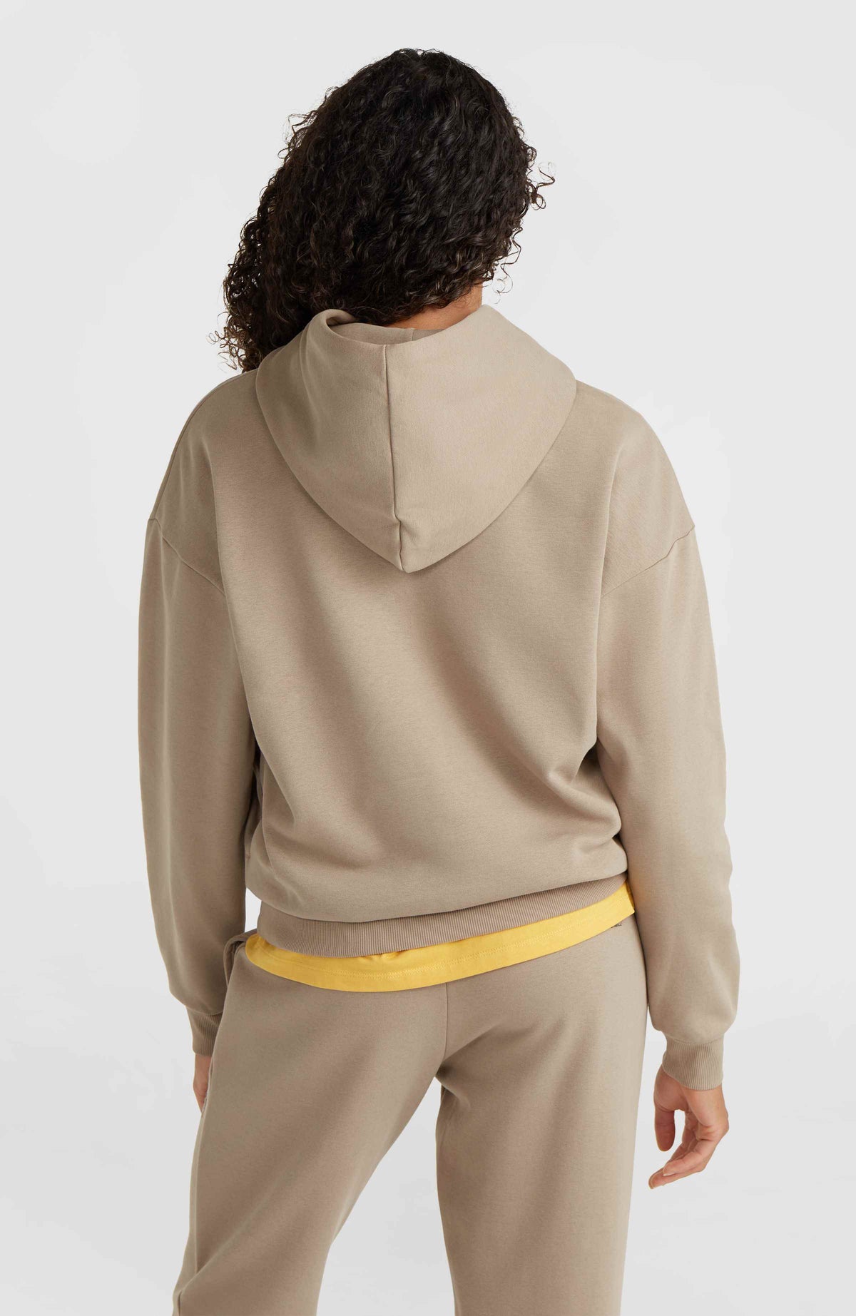 Sweat à capuche Future Surf Society | Pumpkin Smoke