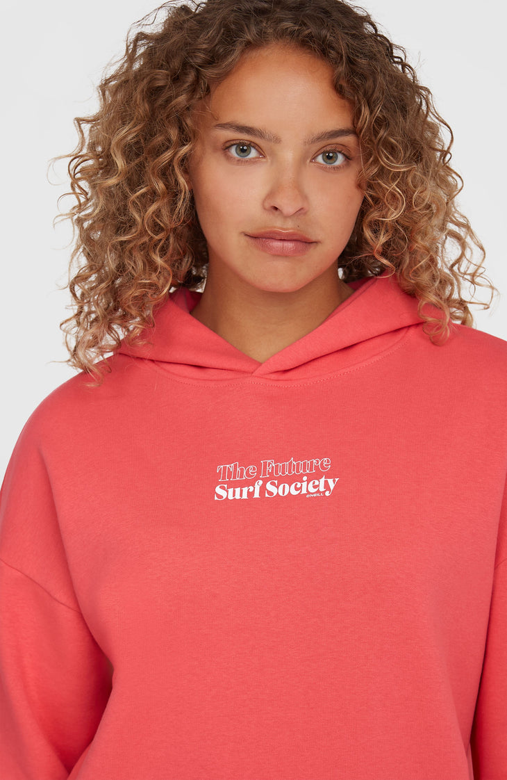 Sweat à capuche Future Surf Society | Froly