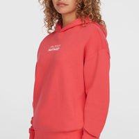 Sweat à capuche Future Surf Society | Froly