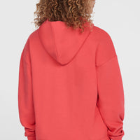 Sweat à capuche Future Surf Society | Froly