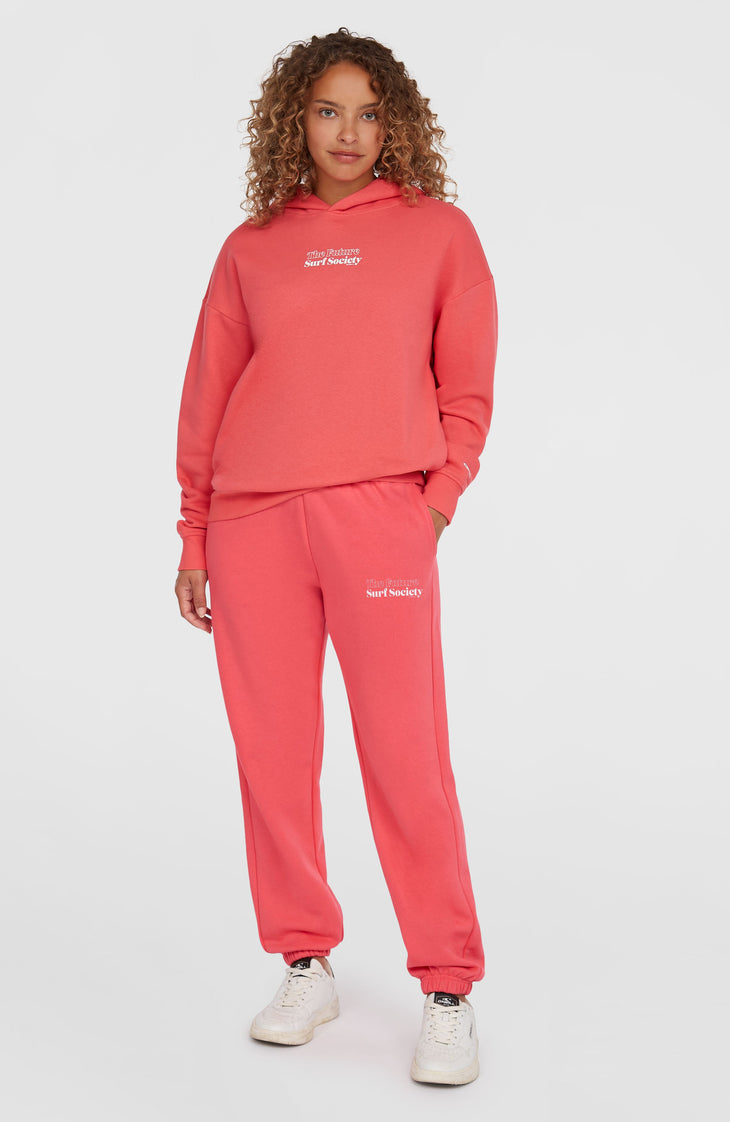 Sweat à capuche Future Surf Society | Froly