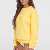 Sweatshirt Future Surf Crew | Tender Buttercup