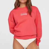 Sweatshirt Future Surf Crew | Froly