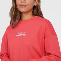 Sweatshirt Future Surf Crew | Froly