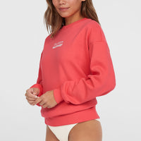 Sweatshirt Future Surf Crew | Froly