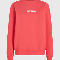 Sweatshirt Future Surf Crew | Froly