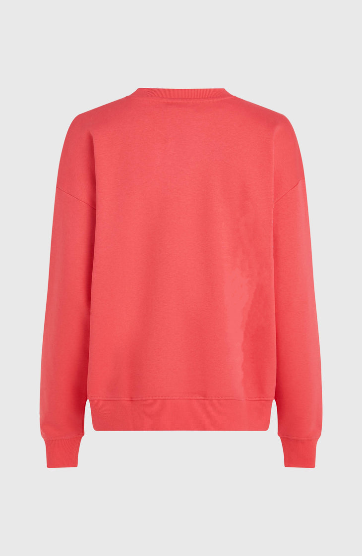 Sweatshirt Future Surf Crew | Froly