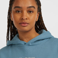 Sweat à capuche Future Surf Society | Mozart Blue