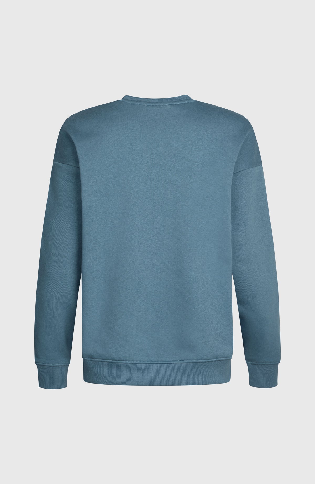 Sweatshirt Future Surf Crew | Mozart Blue