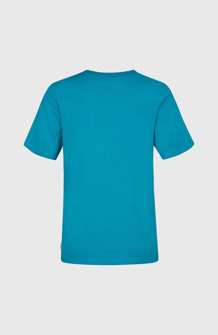 T-shirt O'Neill Graphic | Island Breeze