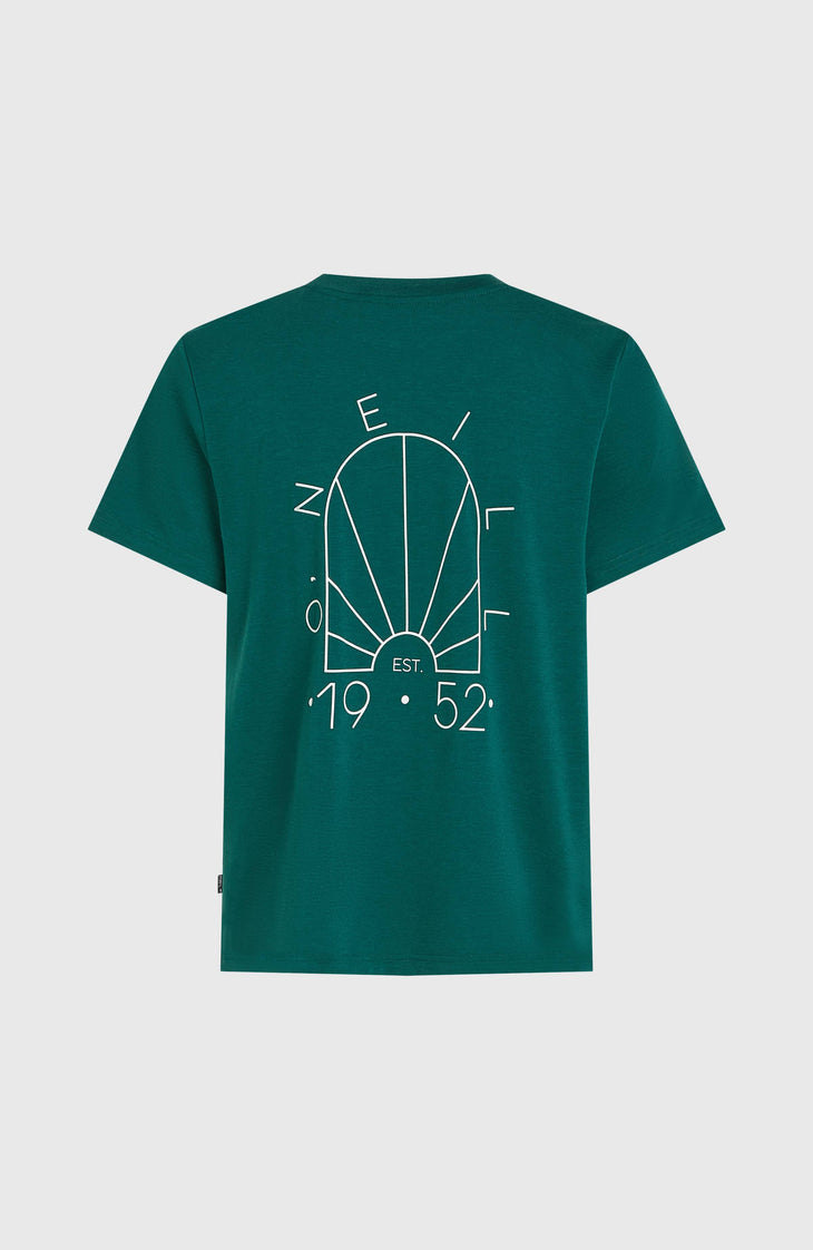 T-shirt O'Neill Hybrid Polygiene | Botanical Heat