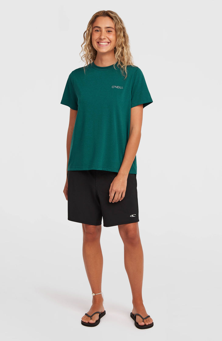 T-shirt O'Neill Hybrid Polygiene | Botanical Heat