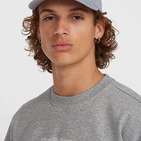 Casquette Future Surf Society | Silver Melee