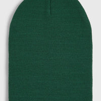Bonnet Dolomite | Emerald Envy