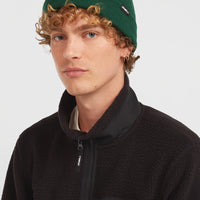 Bonnet Dolomite | Emerald Envy